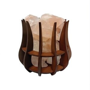 elviejomolino-concava-2025